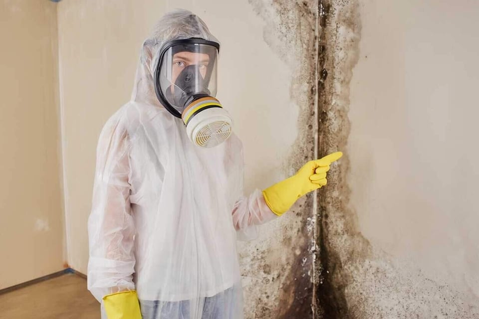 A technician in full PPE inspecting black mold growth on a wall