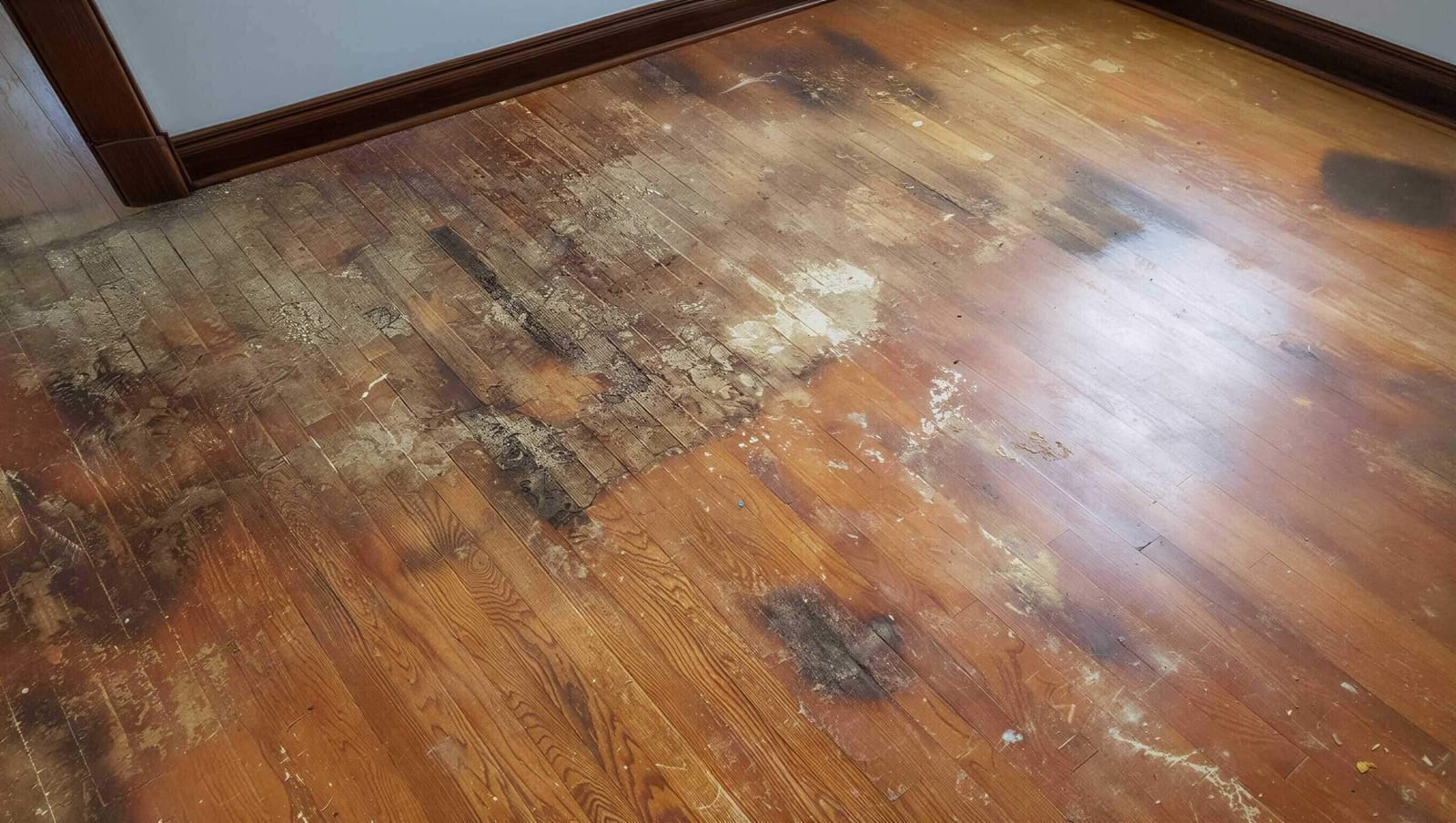 A water-damaged hardwood floor with cupped, buckled boards
